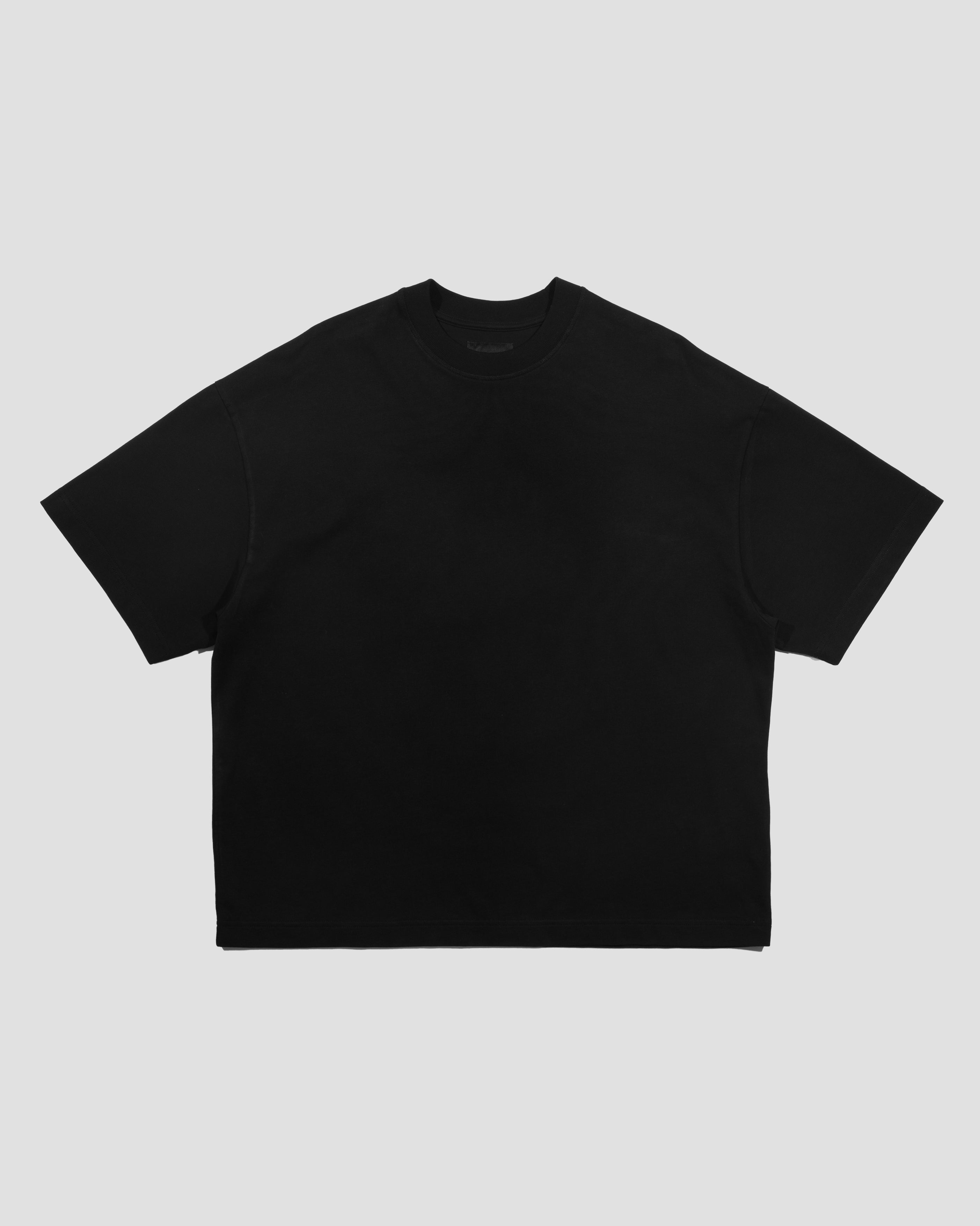 L1. BLANK T-SHIRT 300